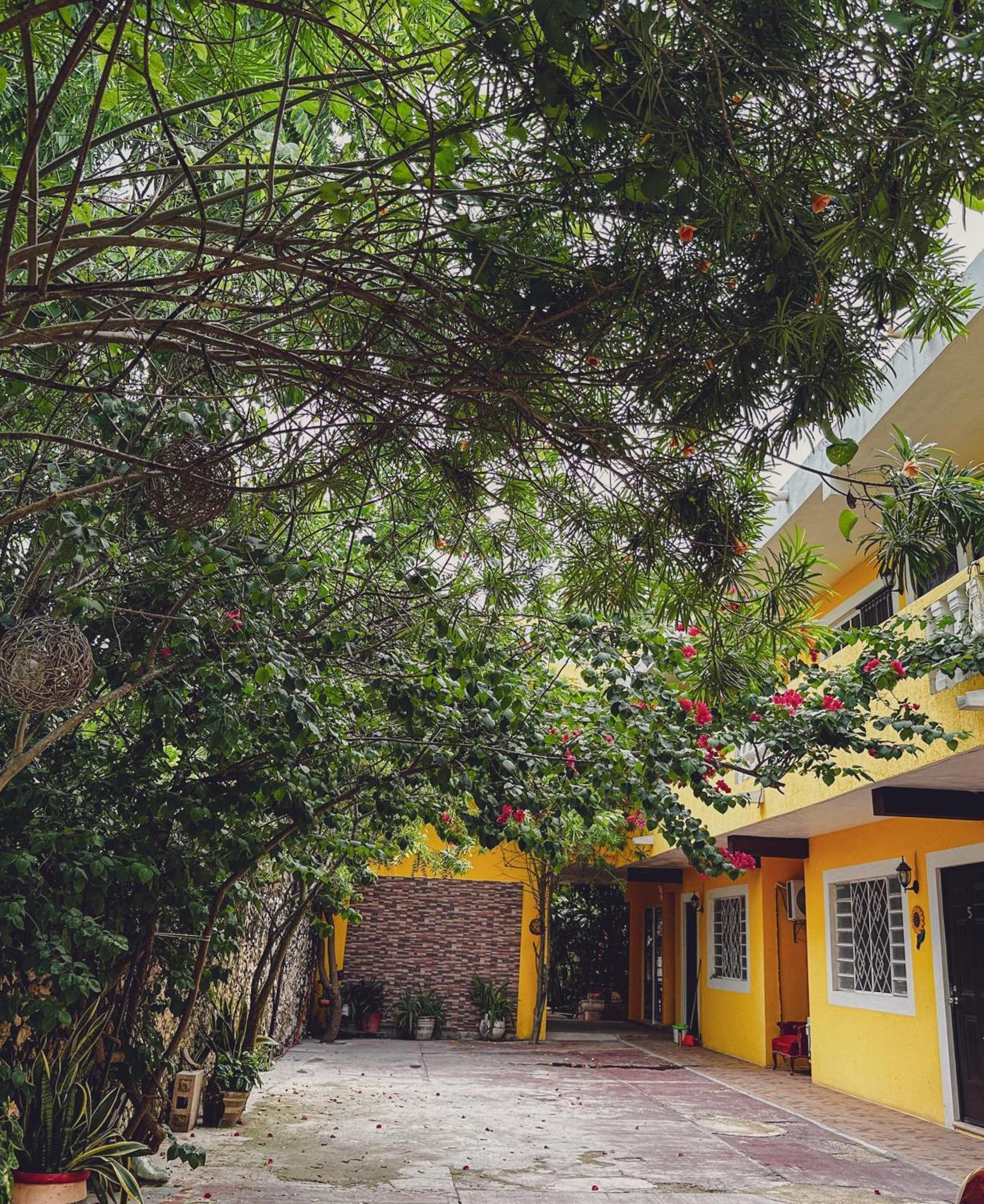 Casa Daniels Guesthouse Valladolid  Dış mekan fotoğraf